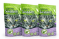 SaniMiaou-Arena Premium Para Gatos TOFU – Fibra Natural Vegetal con Aroma a Lavanda