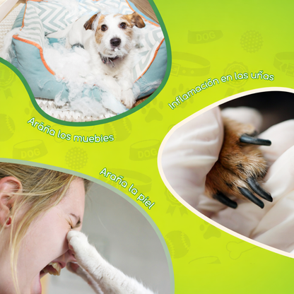 ✂️ Cortauñas para Perros Nobleza con Lima Integrada – Corte Seguro y Preciso