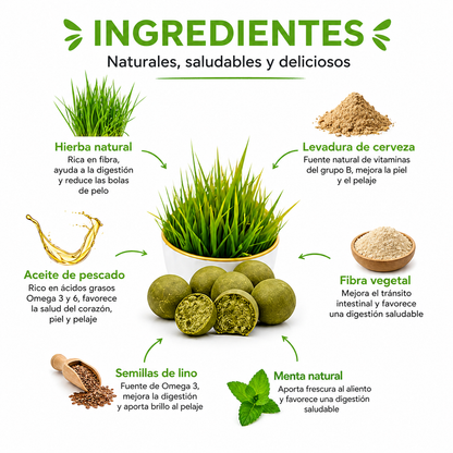 🐾 GimCat Gras Bits – Snacks para gatos con hierba deliciosa 🌱