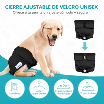 🐶 Nobleza – Pack de 3 Pañales Lavables (Talla S)