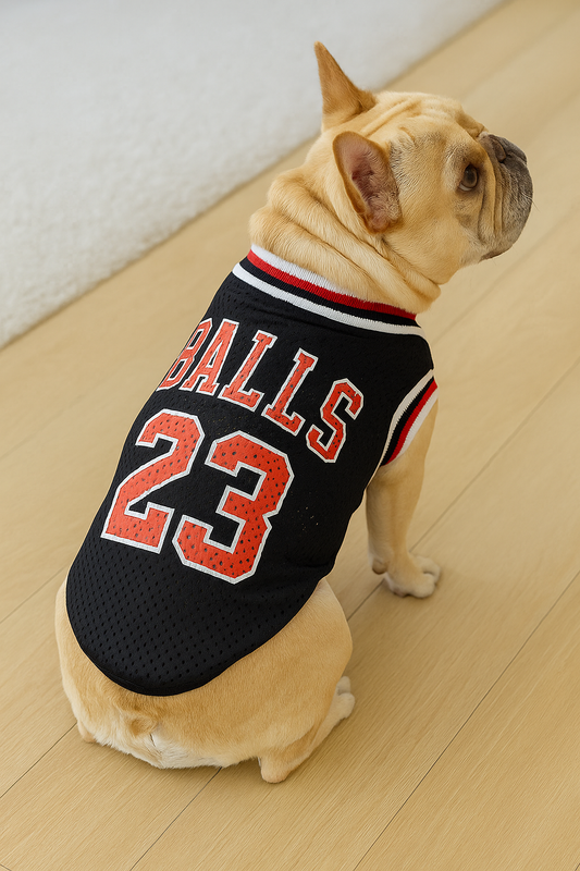 Sudadera elegante para mascotas con chaleco transpirable😻🐶