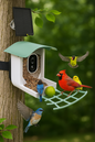Comedero para pájaros inteligente con cámara solar e impermeable