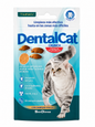 🐱✨ DentalCat Crunch – Twinky Snacks