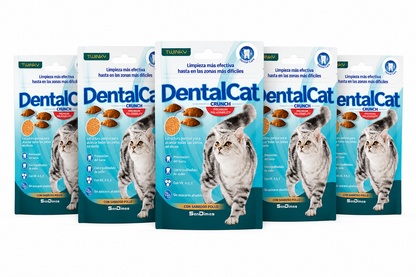 🐱✨ DentalCat Crunch – Twinky Snacks