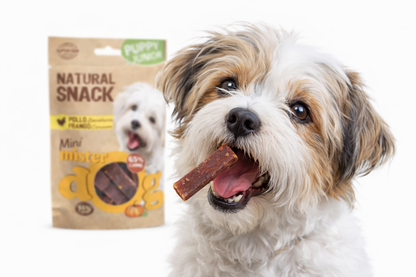 Mini Mister Dog – Pollo y Zanahoria (Puppy & Junior)