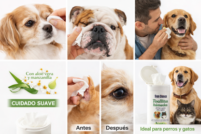 San Dimas 50 unidades Toallitas Húmedas para Perros y Gatos – Higiene rápida y suave para tu Peludo