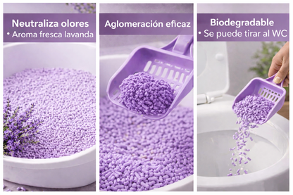 SaniMiaou-Arena Premium Para Gatos TOFU – Fibra Natural Vegetal con Aroma a Lavanda