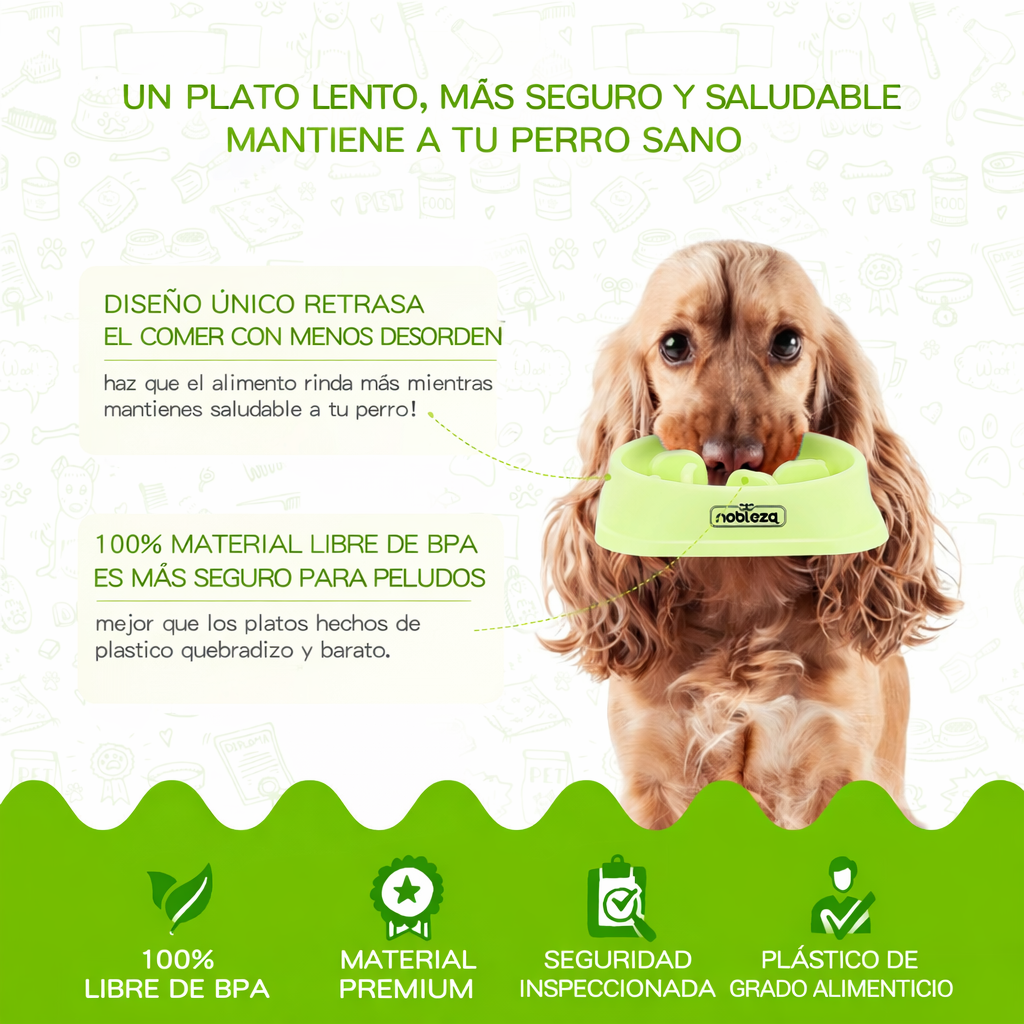 💚Comedero Antivoracidad Verde (Nobleza)