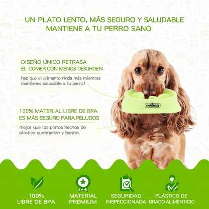 💚Comedero Antivoracidad Verde (Nobleza)