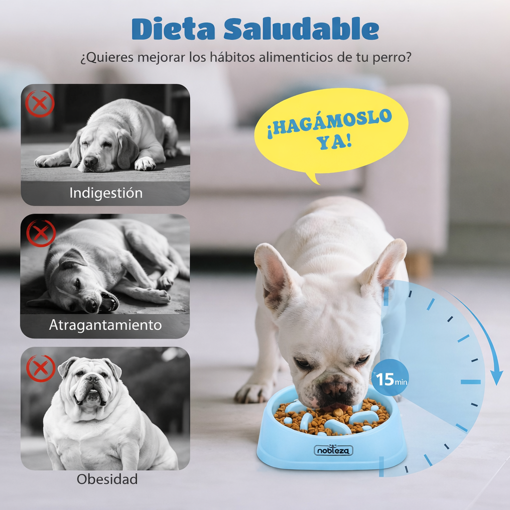 💙Comedero Antivoracidad Azul (Nobleza)