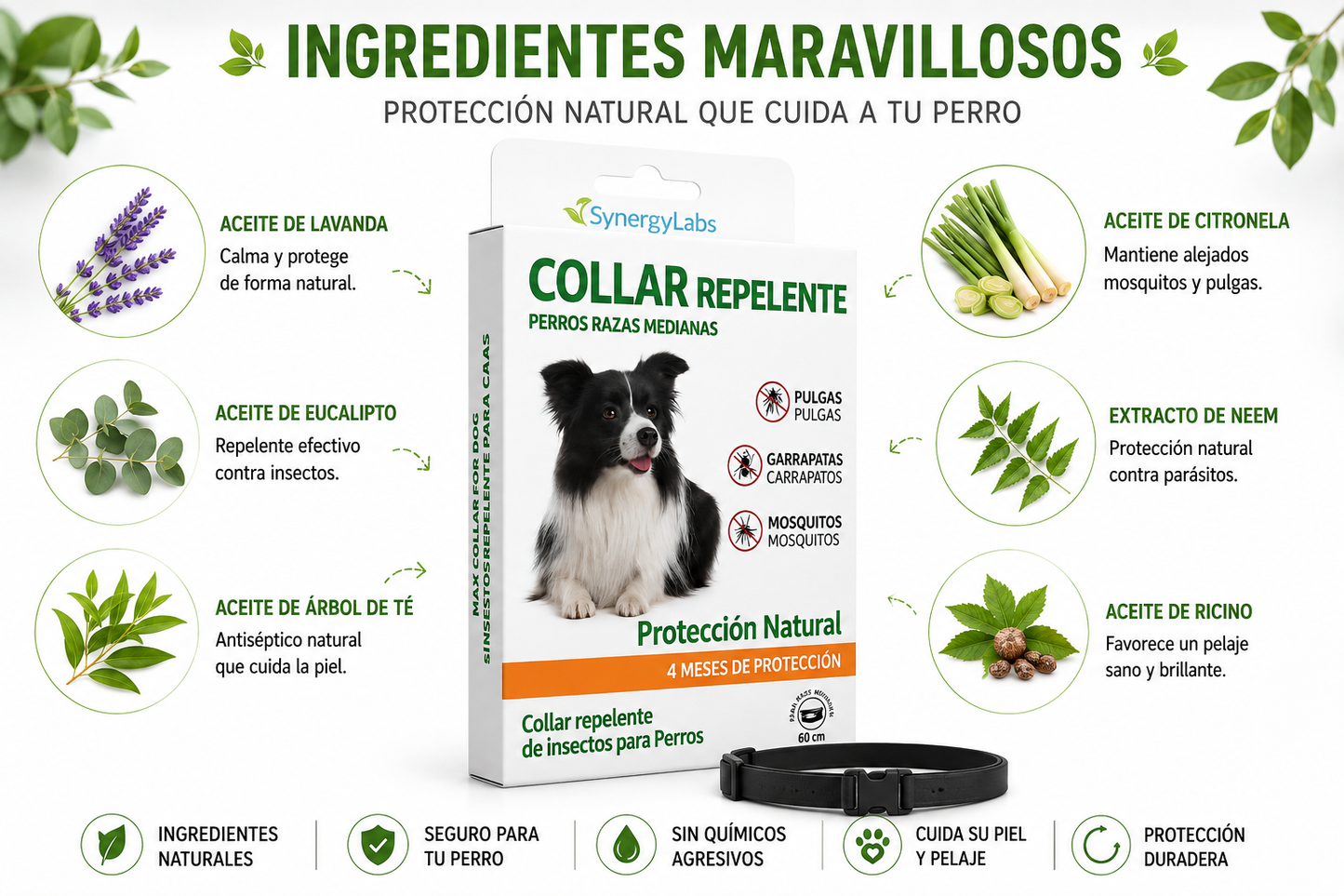 🟢 Collar Repelente para Perros Medianos – Protección Natural Premium