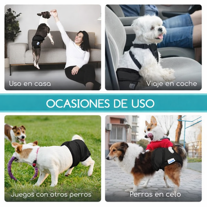 🐶 Nobleza – Pack de 3 Pañales Lavables (Talla S)