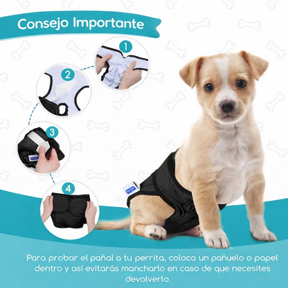 🐶 Nobleza – Pack de 3 Pañales Lavables (Talla S)