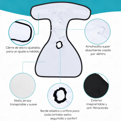 🐶 Nobleza – Pack de 3 Pañales Lavables (Talla S)