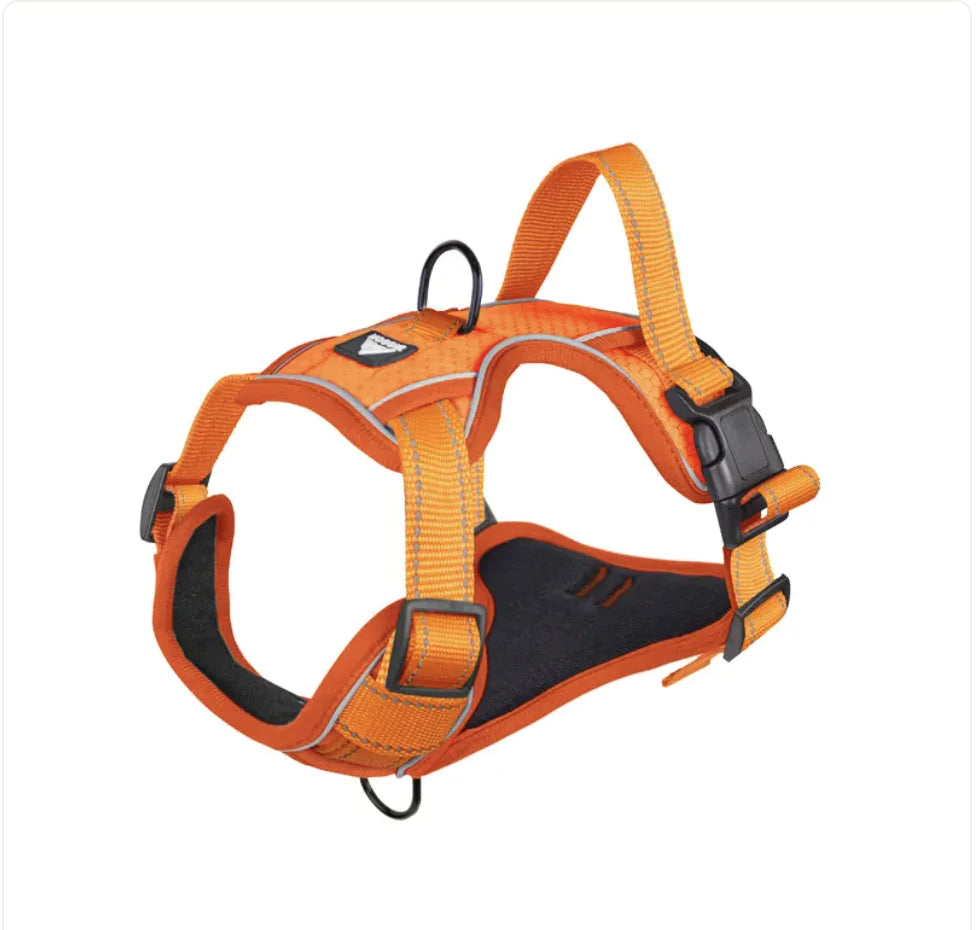 Arnés de Seguridad Reflectante con Correa para Perros🐕‍🦺🐾