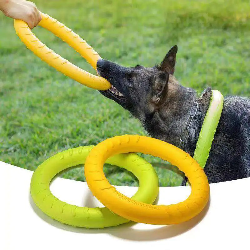 Juguete interactivo flotante para perros - Aro de entrenamiento para tirar