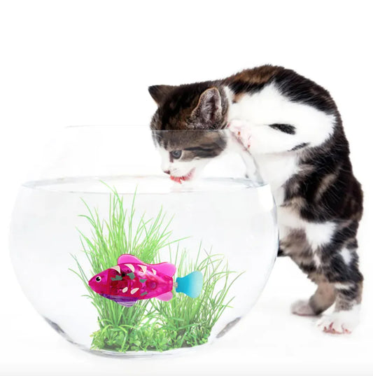 Juguete para gatos con forma de pez y luz LED🙀😻
