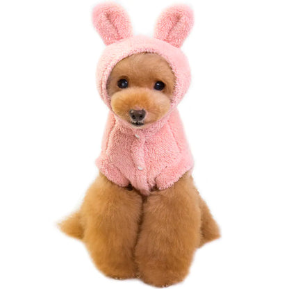 🐶👕 Traje cómodo y estiloso para tu peludo.