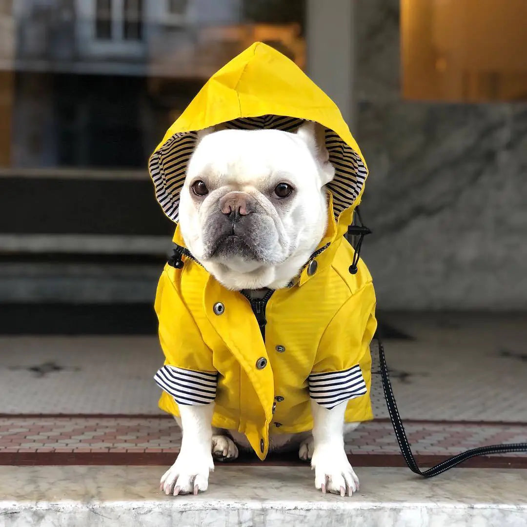 Impermeable acolchado para perro a prueba de viento estilo retro de la marca Tide🐶🐾