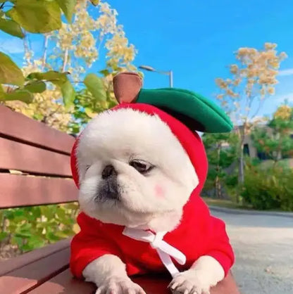 ✨ Sudadera  para Perros Pequeños ✨