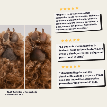 Crema- Mousse almohadillas, hocico y zonas secas