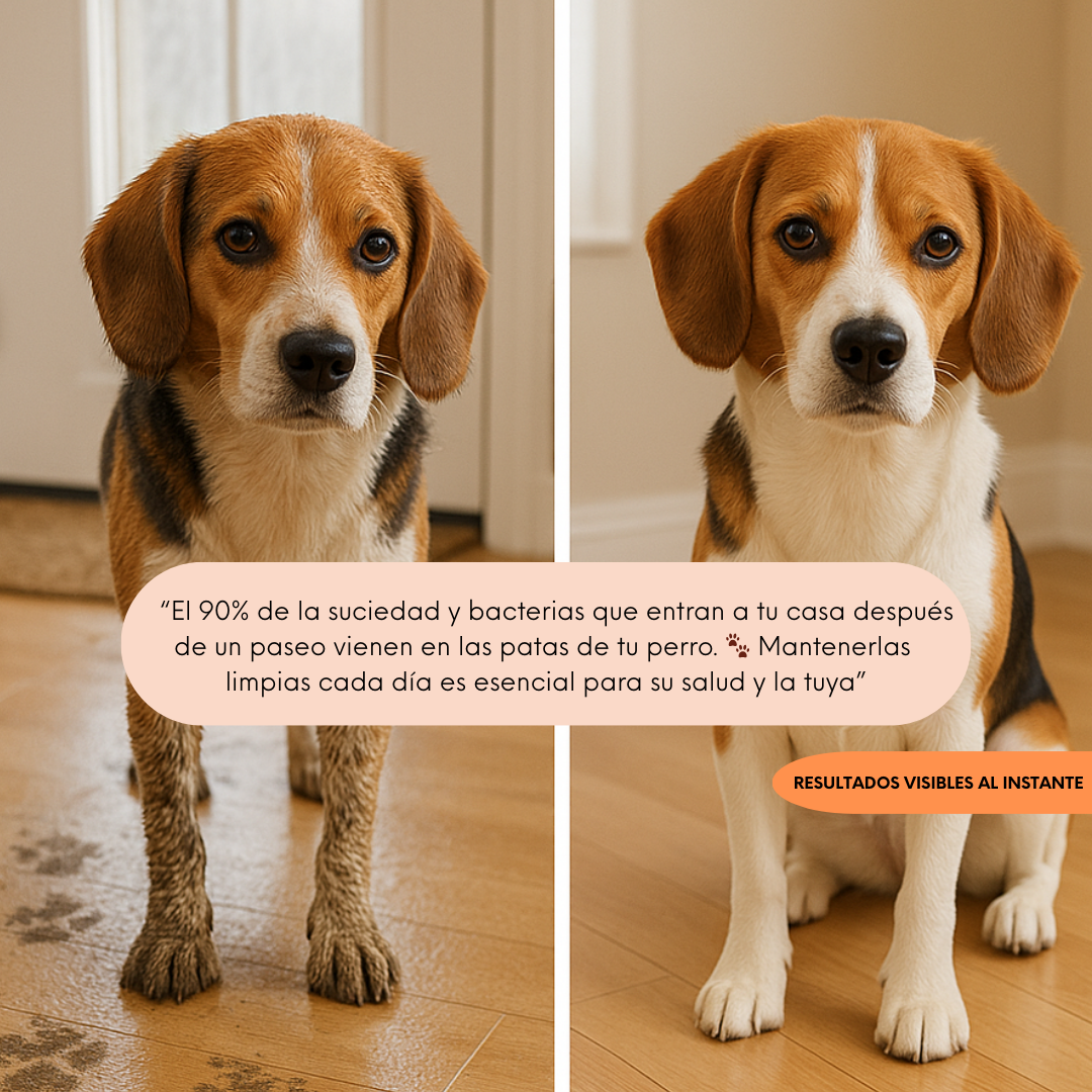 Champú en espuma sin aclarado