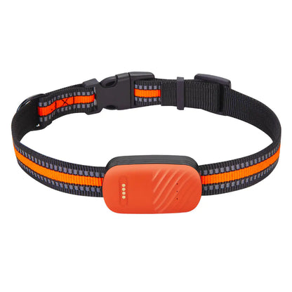 🐾🐶Rastreador Antipérdida e Impermeable para Mascotas