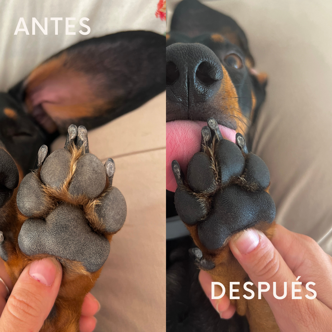 Crema- Mousse almohadillas, hocico y zonas secas