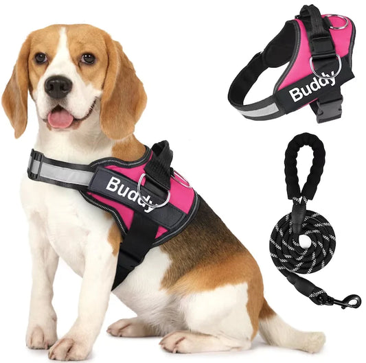 🐾🐕‍🦺Arnés doble para perros con correa incluida❤✨