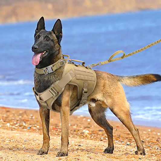 Arnés Táctico de Pecho K9 para Perros🐕‍🦺