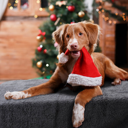 Nobleza Cool Grey 120X100 cm Manta de felpa suave para perros Gatos y otras mascotas Lavable con patrón de estampado de animales