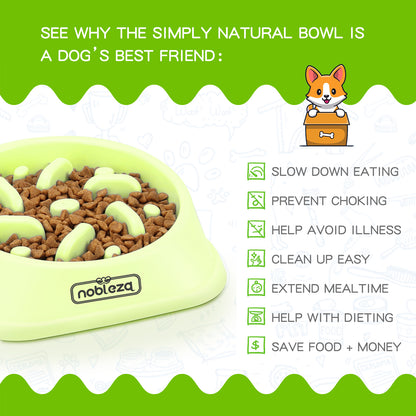 💚Comedero Antivoracidad Verde (Nobleza)