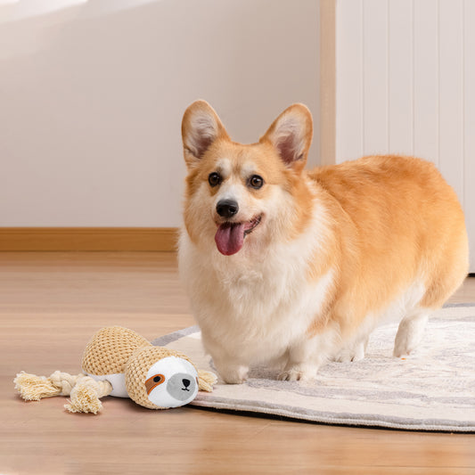 🐶🧸 Juguete Interactivo de Cuerda para Perros 🧸🐶
