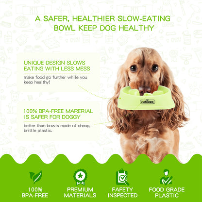 💚Comedero Antivoracidad Verde (Nobleza)