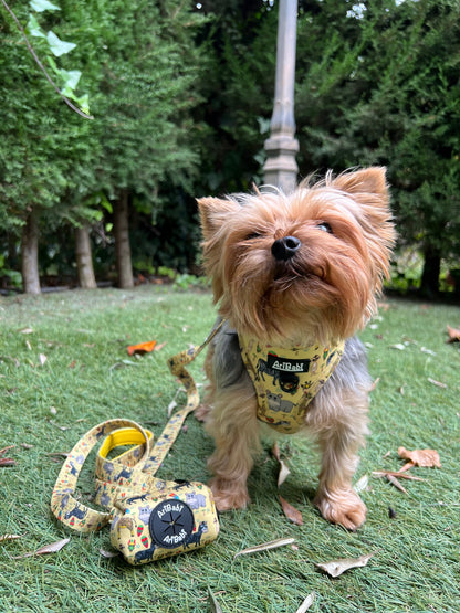 Correa Estampada Kenia