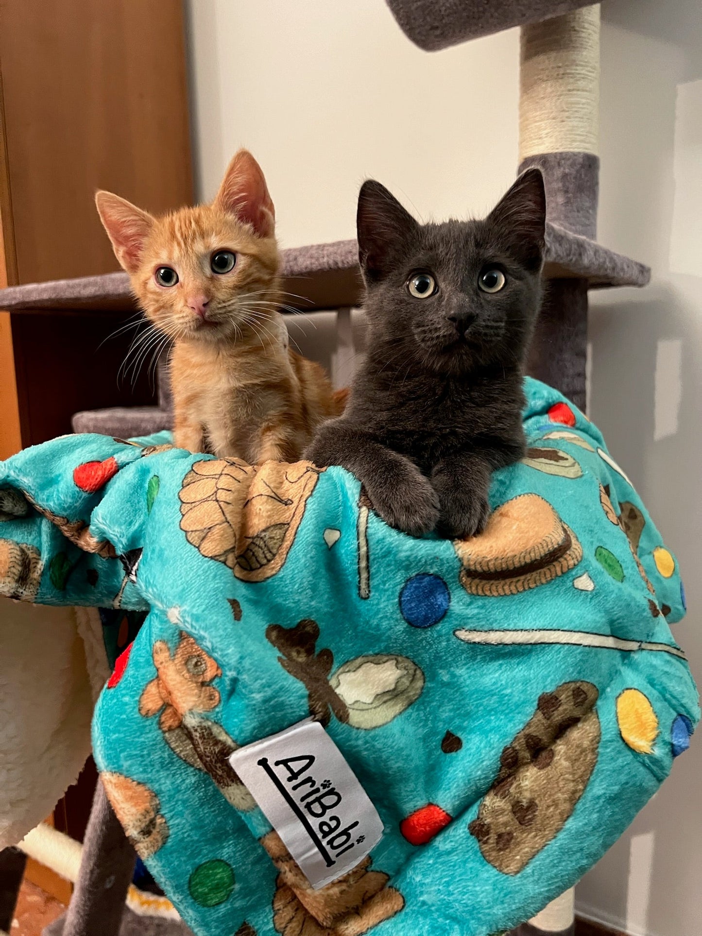 Mantas Ultra Suaves Cookies