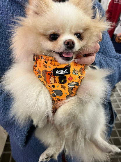 Arnés Ajustable Yosemite