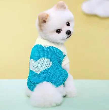 Jersey para mascotas🐾👕