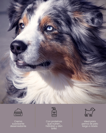 Acondicionador para perros suavizante y desenredante