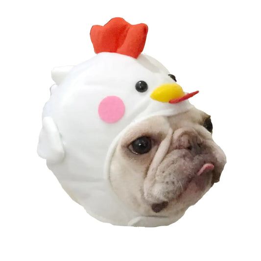 Gorro Divertido para Perros – Dale Estilo a tus Fotos y Videos🐶🐾