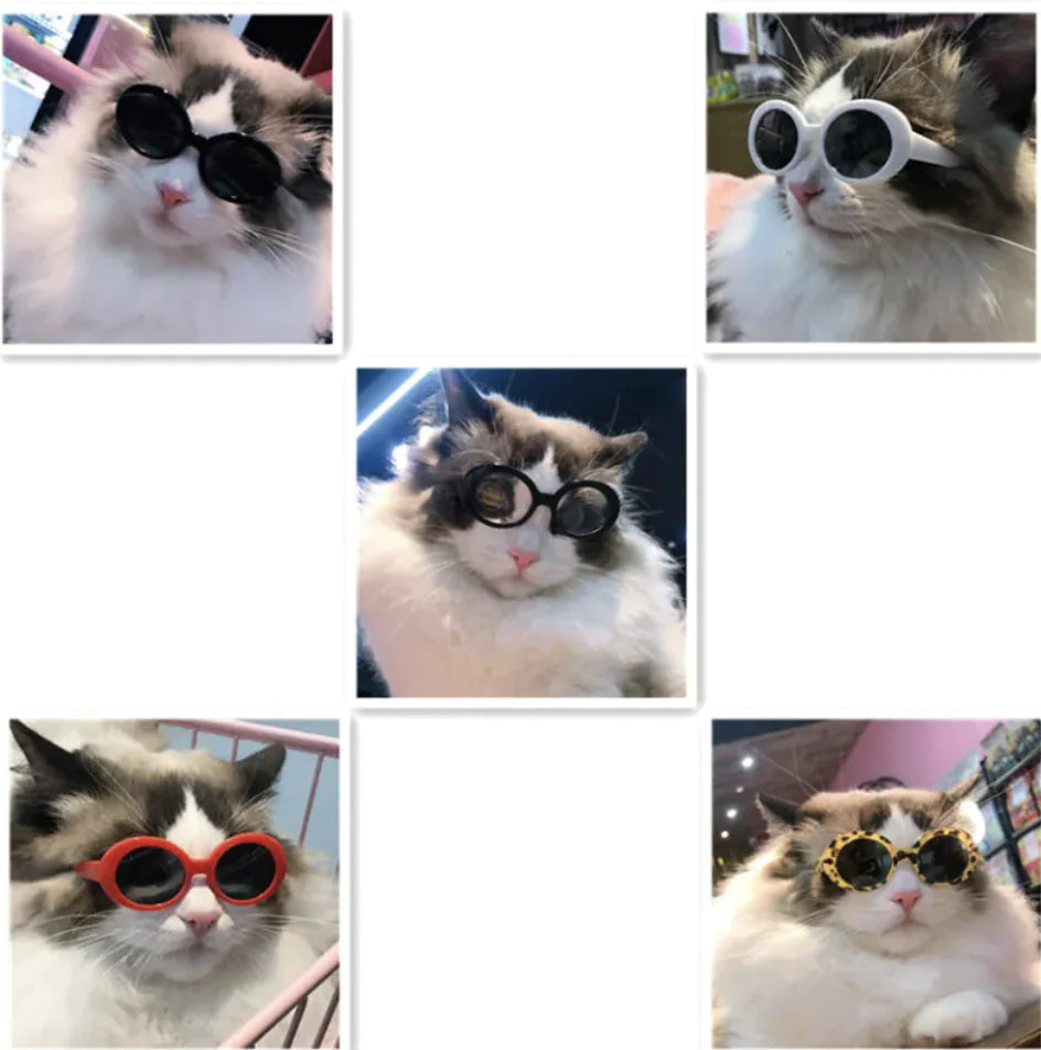 😎 Gafas de Sol Multicolor para Perros y Gatos