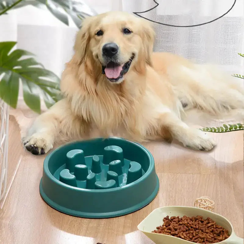 Cuenco interactivo antideslizante en forma de pétalo – Alimentación lenta para perros"