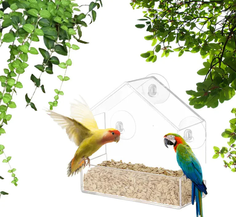 Comedero de acrílico para pájaros 🐦