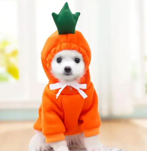 ✨ Sudadera  para Perros Pequeños ✨