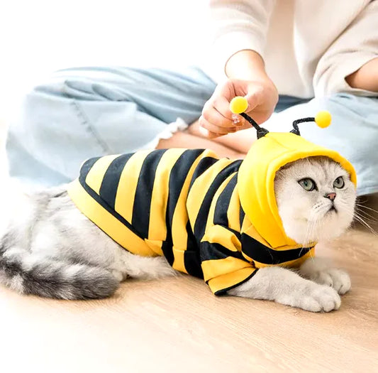 Disfraz abeja para tu peludito.
