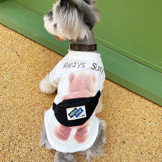 Ropa para Mascotas con Estilo: Mochila + Camiseta Transpirable🐶😻