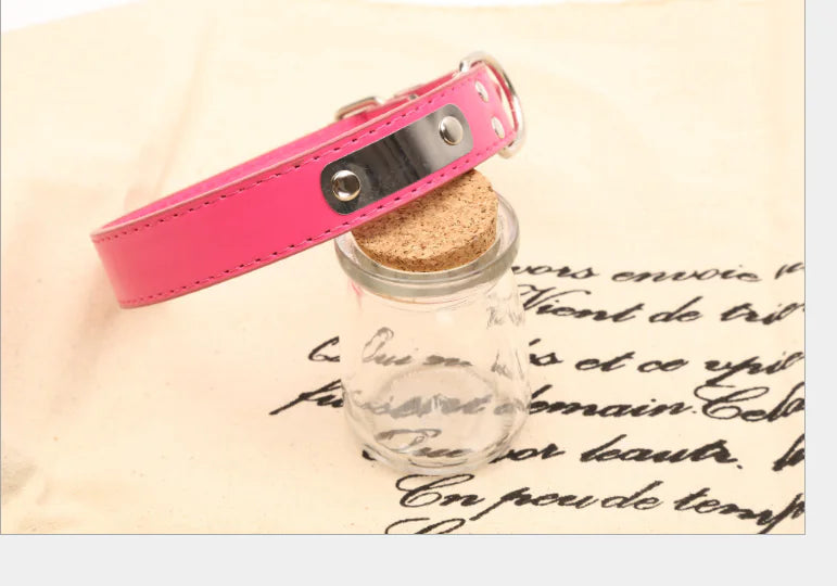 Collar para mascotas personalizado 😻🐾