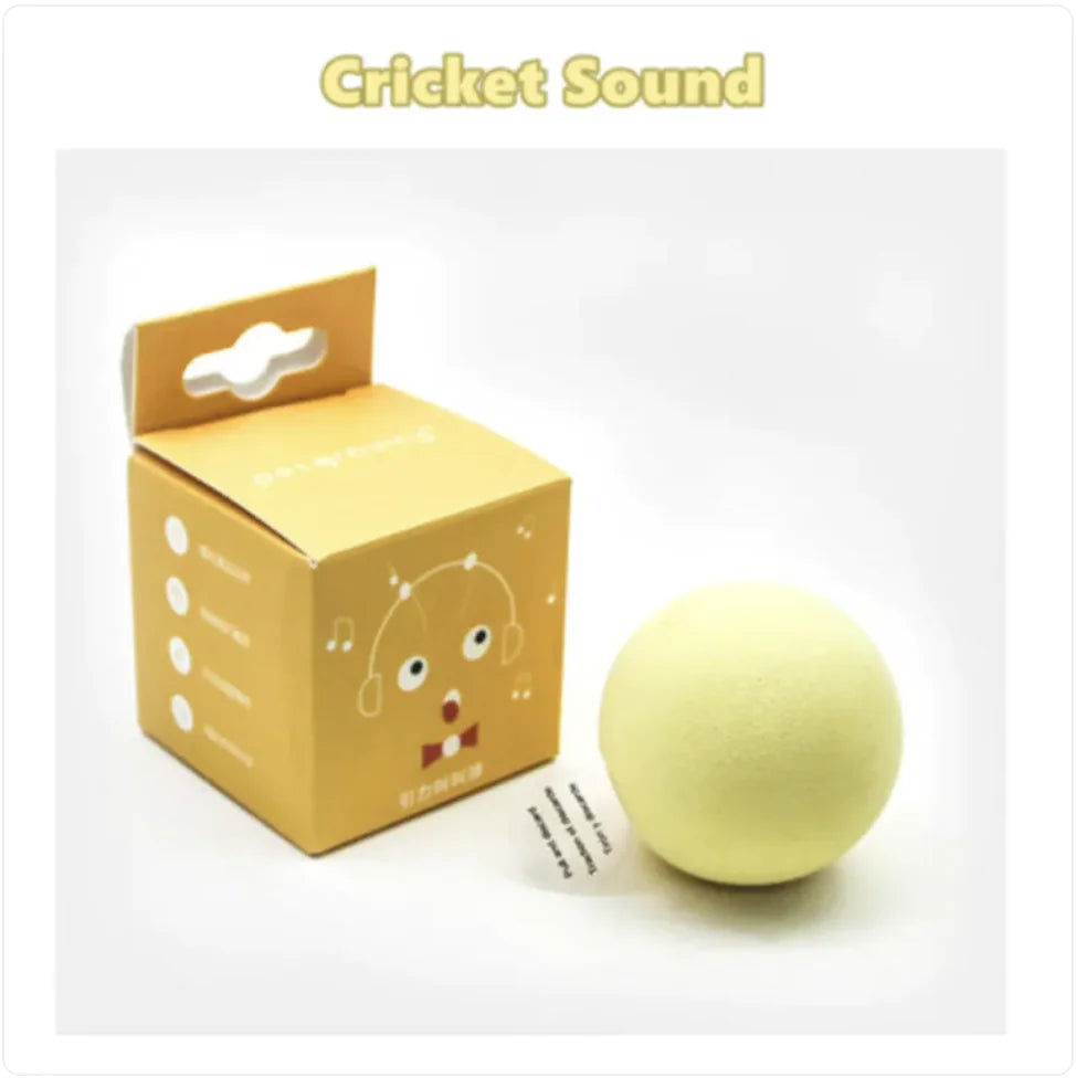 Pelota interactiva para mascotas y set de cama incluido 🐶😻
