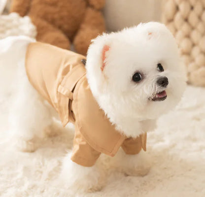 Gabardina británica para mascotas 🐾✨