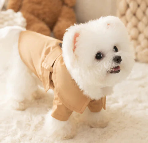 Gabardina británica para mascotas 🐾✨
